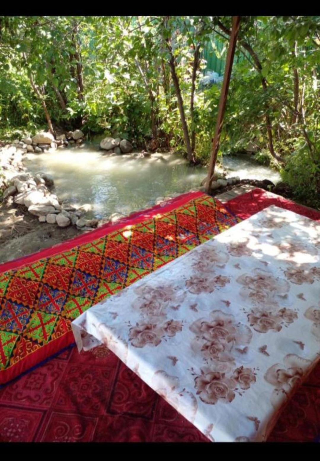 Waterfall In The Yard Karakol Exterior foto